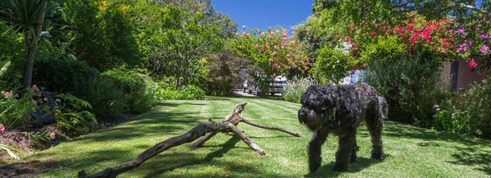 Hotel Cornerway House Plettenberg Bay Exterior foto